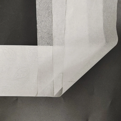 Toilet Tissue6.png